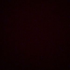 Meet your Posher, Kelsea